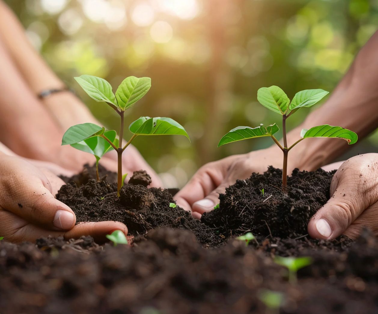 Immagine WhatsApp 2025-12-16 ore 18.45.18_603b69c1