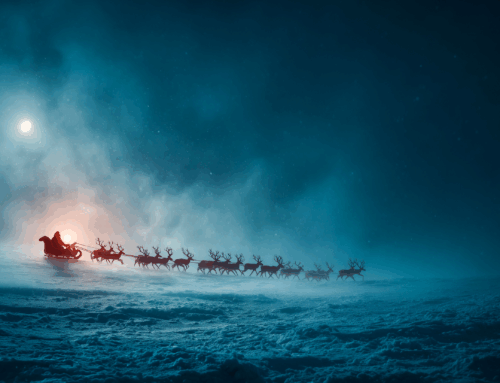 Undicesima e ultima tappa. 4 giorni a Natale. E poi viene tutto il resto