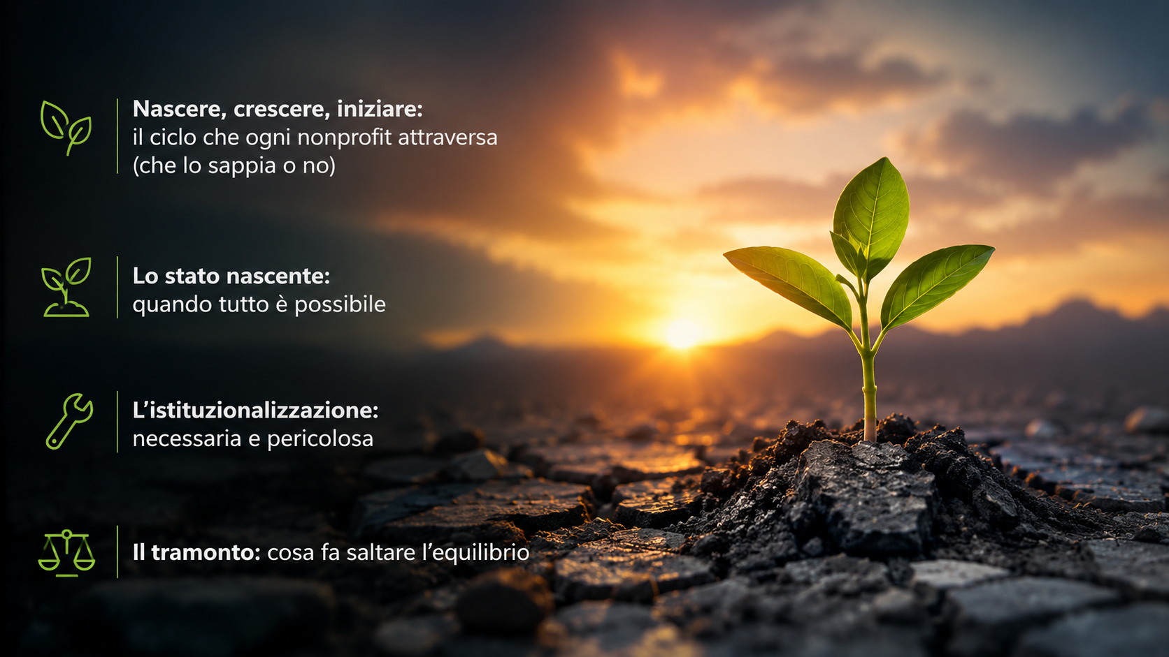 Immagine articolo blog 20 maggio
