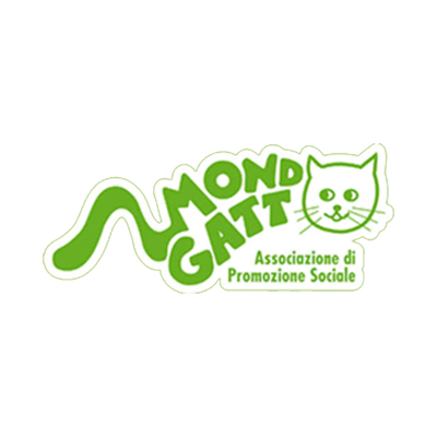 mondo-gatto